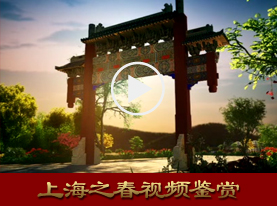 上海之春视频鉴赏